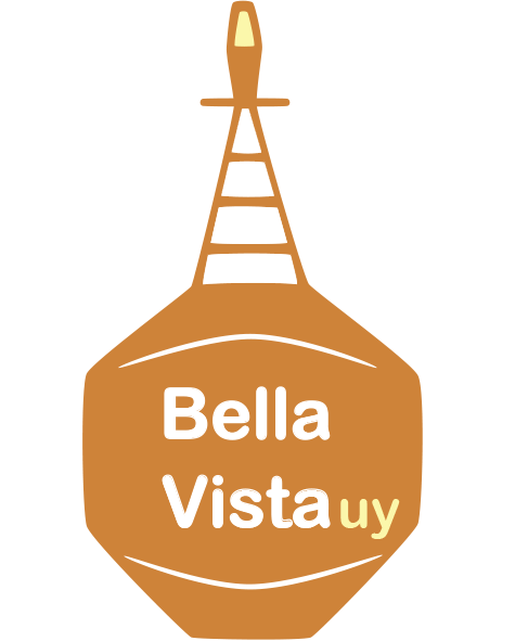 Logo BV